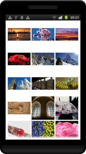 Android Volley GridView Tutorial screenGrid